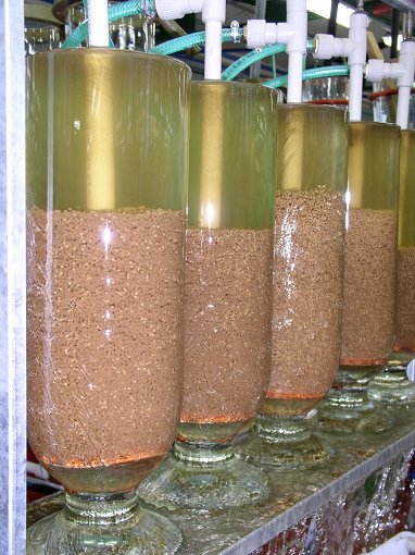 stika-jikry.jpg