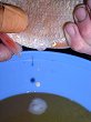 thn_jelec-jesen-3.jpg