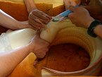 thn_sumec-albin-1.jpg
