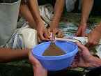 thn_sumec-albin-3.jpg