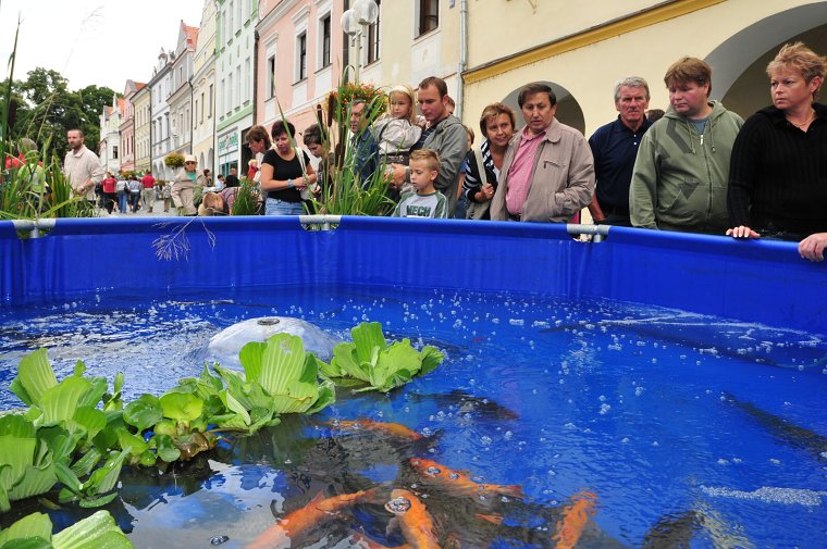 rybarske-slavnosti-namesti.jpg