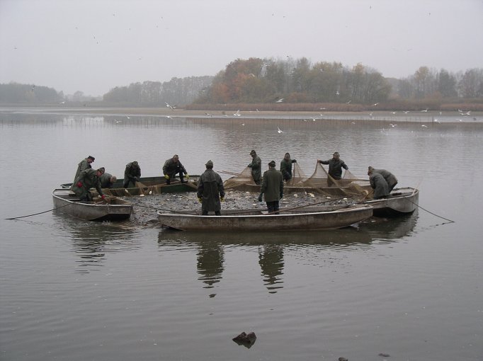 kanov-vylov-2.jpg