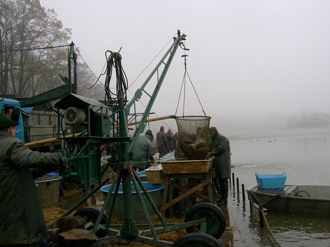 svet-vylov.jpg