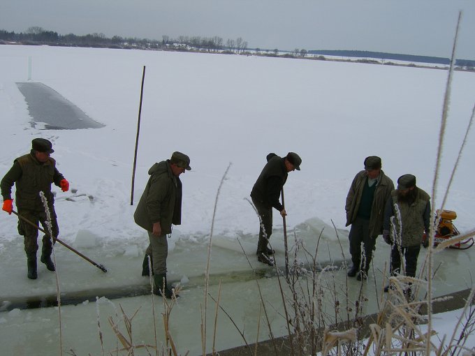 koclirov-4.jpg