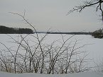 thn_svet-1.jpg
