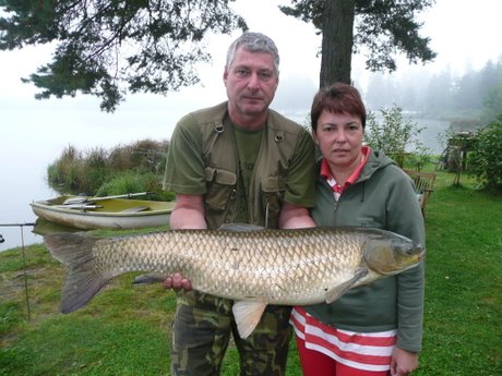 Amur - 97 cm, 11,3 kg, 28.9.2011 - rybník Staňkovský